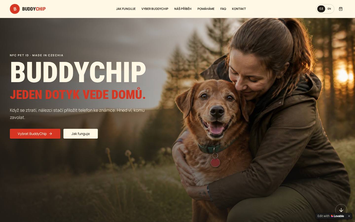 BuddyChip preview